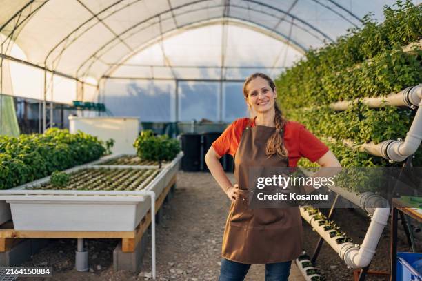 portrait of a smiling female agricultural worker in a hydroponics greenhouse looking directly into the camera - i was turning into a vegetable stock pictures, royalty-free photos & images