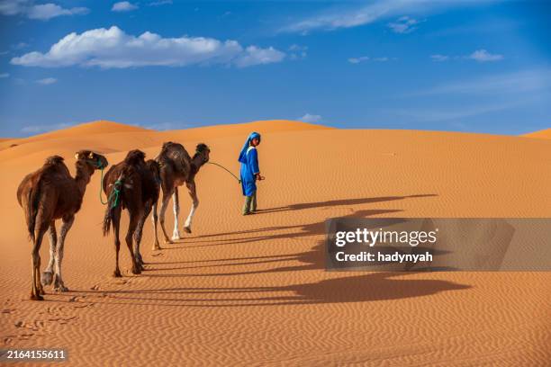 young tuareg with camels on western sahara desert in africa - merzouga stock pictures, royalty-free photos & images