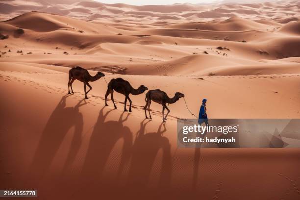 young tuareg with camels on western sahara desert in africa - amazigh imagens e fotografias de stock