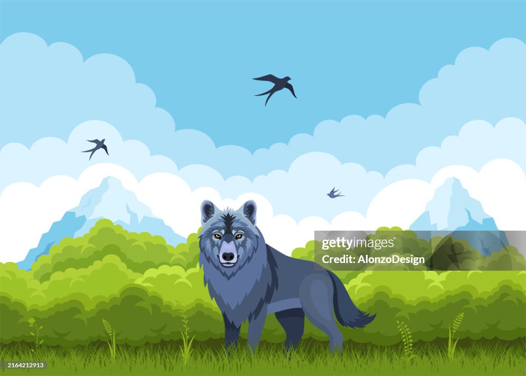Wolf in the forest.