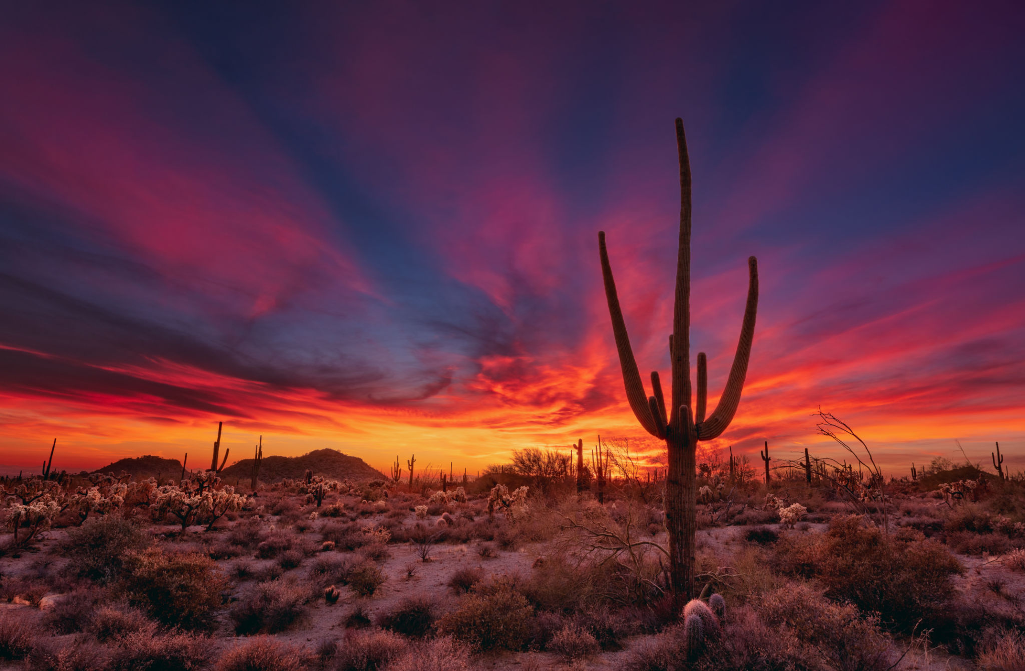 desert sunset
