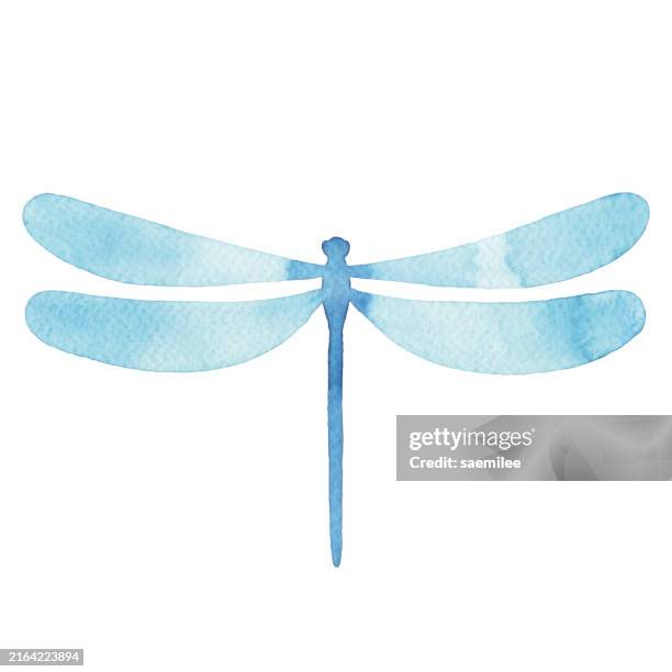 illustrazioni stock, clip art, cartoni animati e icone di tendenza di libellula dell'acquerello blu - libellula