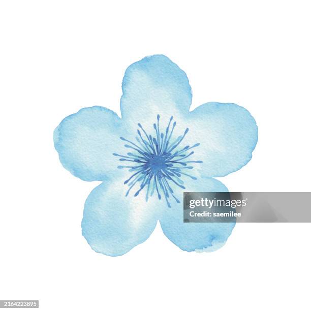 blue watercolor flower - watercolor flowers stock illustrations