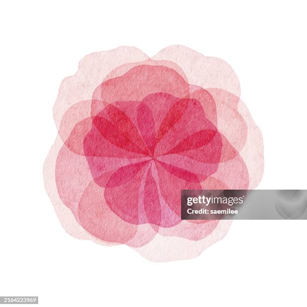 ilustraciones, imágenes clip art, dibujos animados e iconos de stock de flor de acuarela rosa en capas - rosa flor