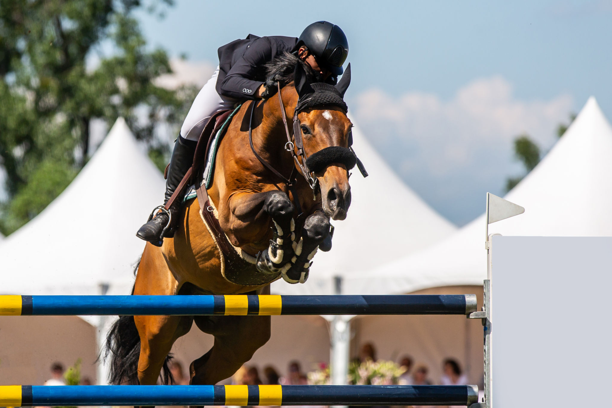 horse jumping