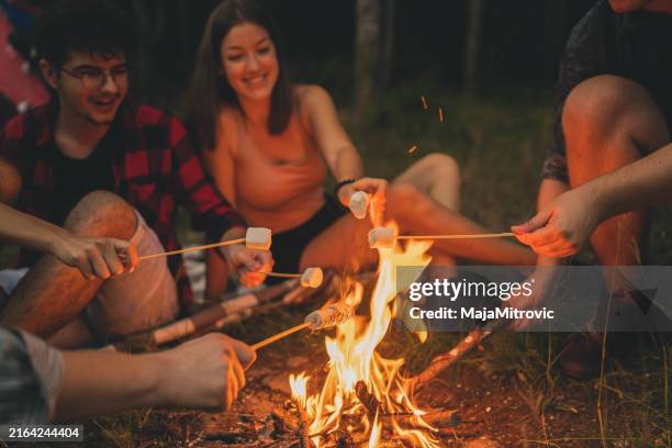 friends roasting marshmallows over the fire in a grill - bonfire stock pictures, royalty-free photos & images