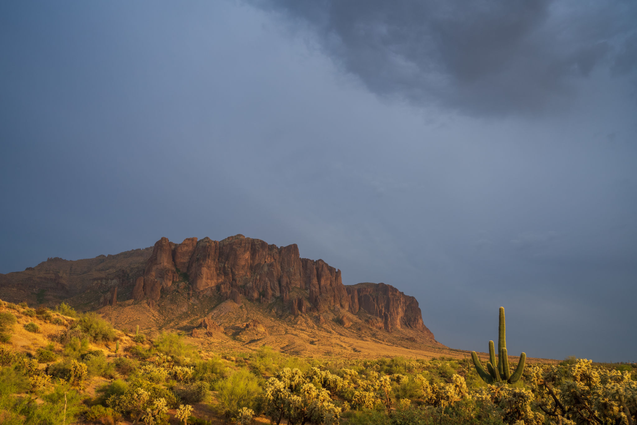 phoenix weather
