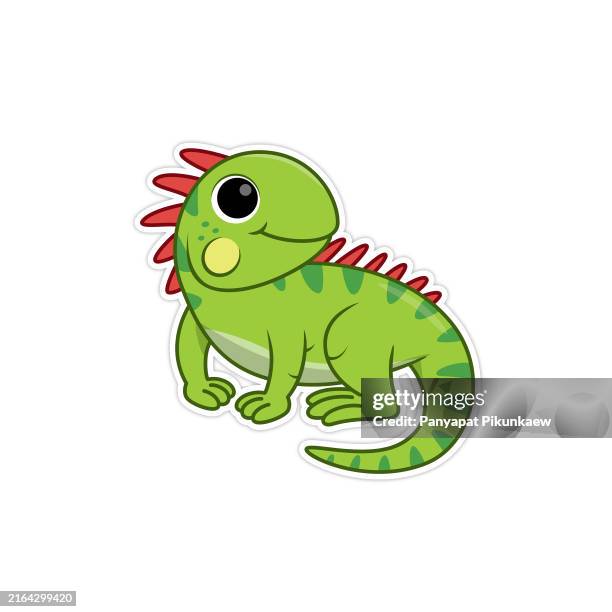 vektorillustration der grünen leguan lächelnde zeichentrickfigur. - eigentlicher leguan stock-grafiken, -clipart, -cartoons und -symbole