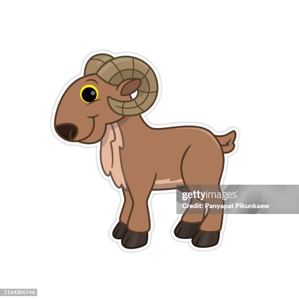 vector illustration of urial. - bighorn sheep stock illustrations