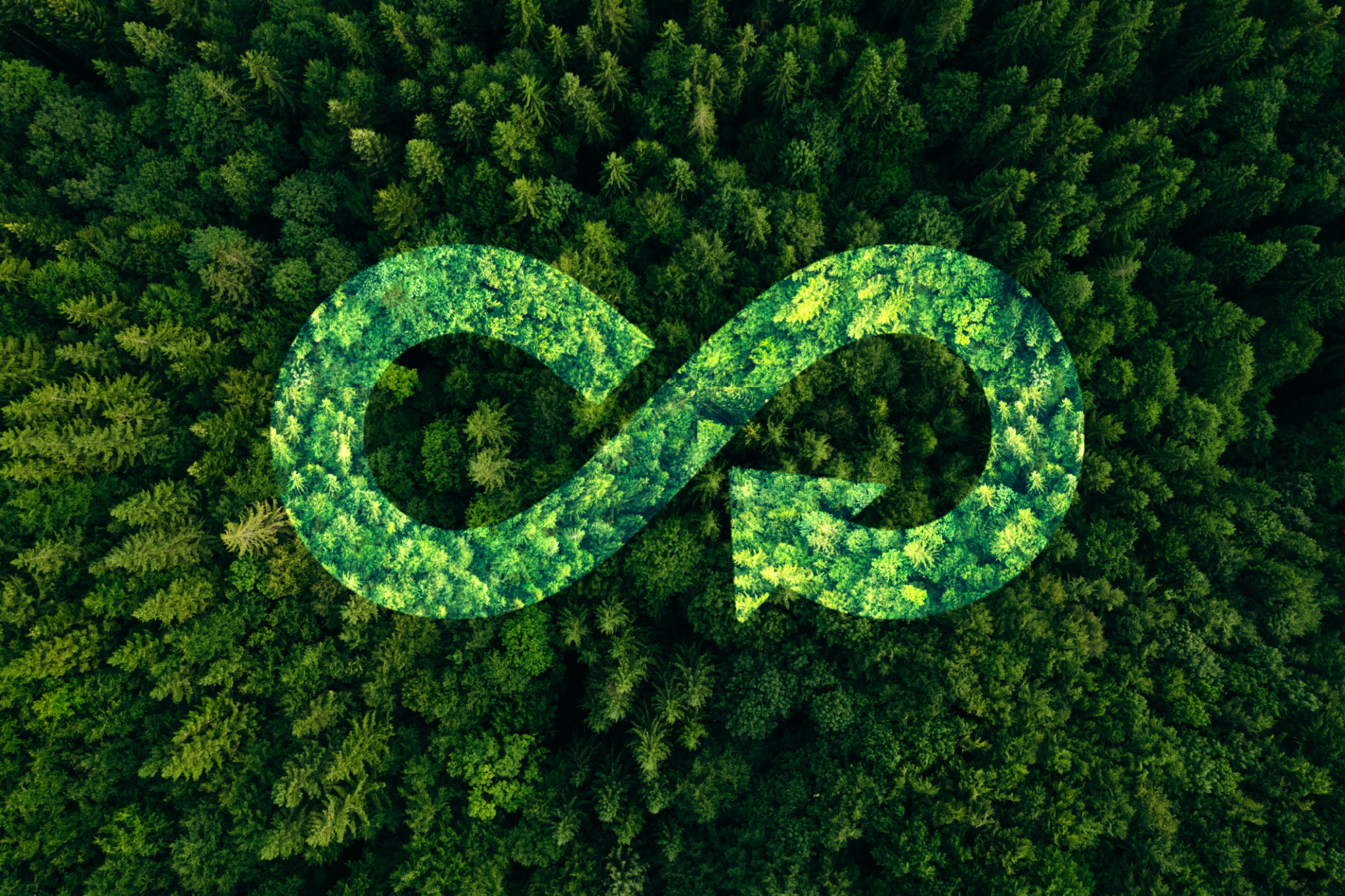 circular economy