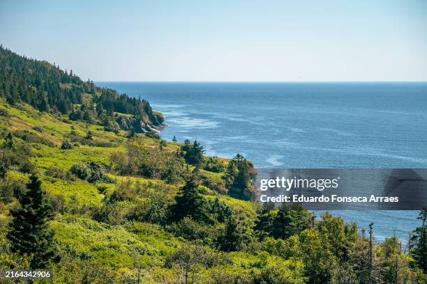 view of the forillon national park, forests, cliffs and the ocean - gaspe peninsula stock pictures, royalty-free photos & images
