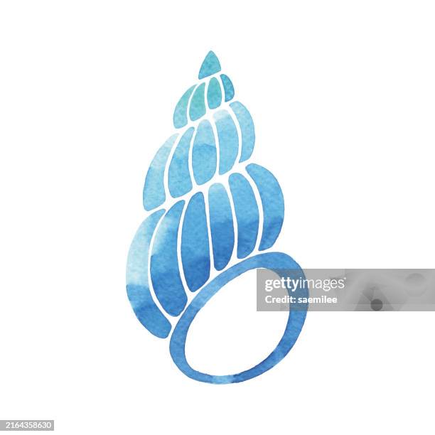 watercolor geometric blue seashell - ocean cross section stock illustrations