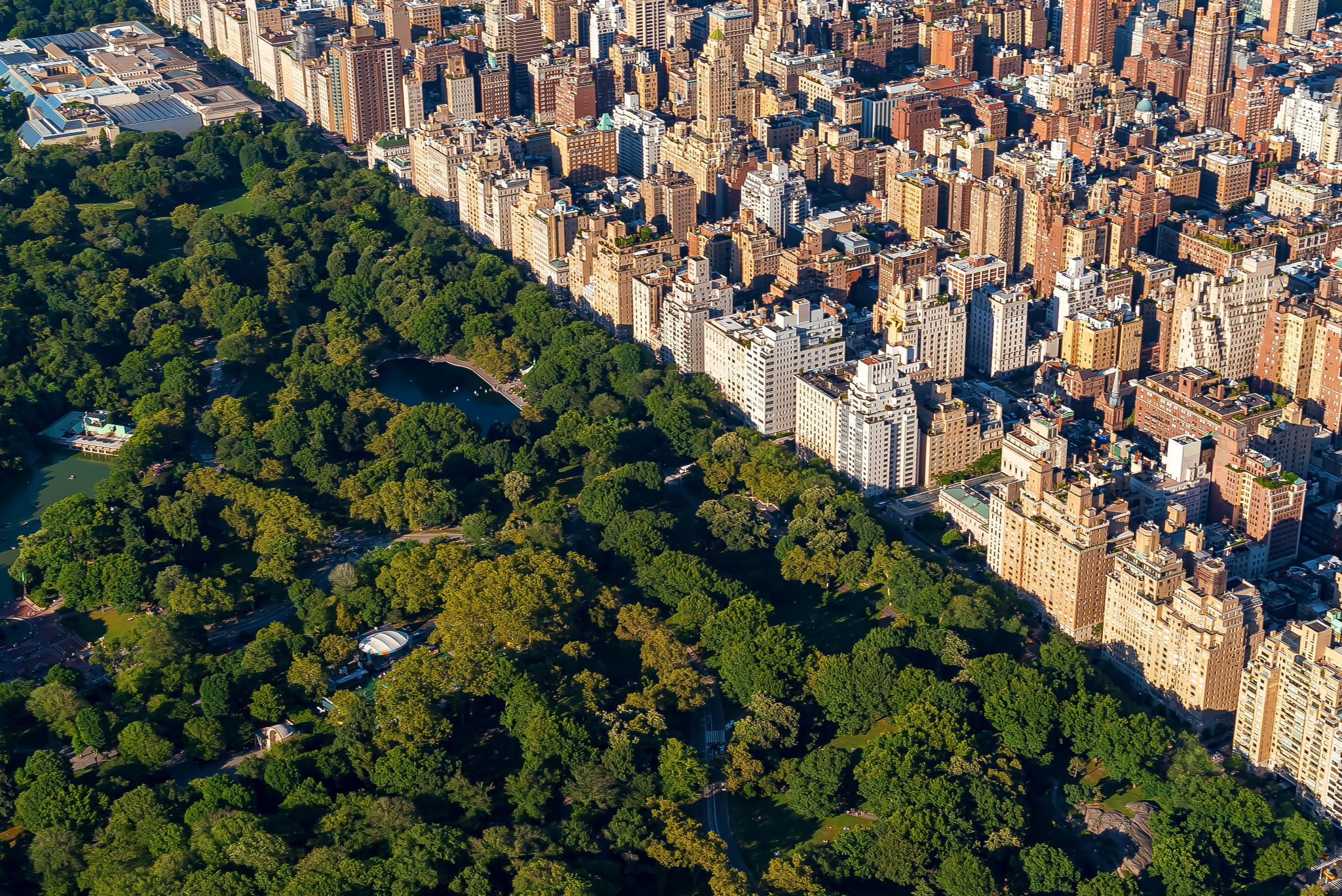 High Angle View Of Trees And Buildings In City High Angle View Of Trees And Buildings In City