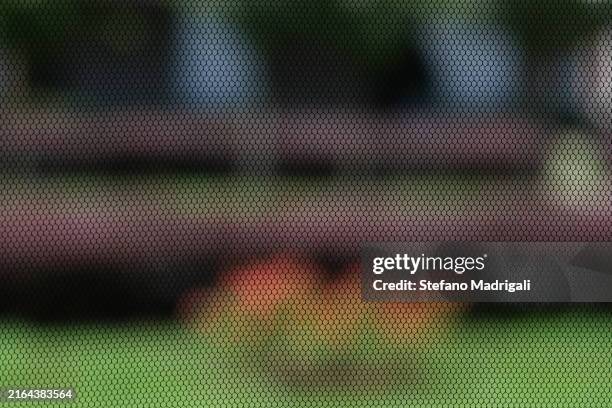 mosquito net on window - moustiquaire photos et images de collection