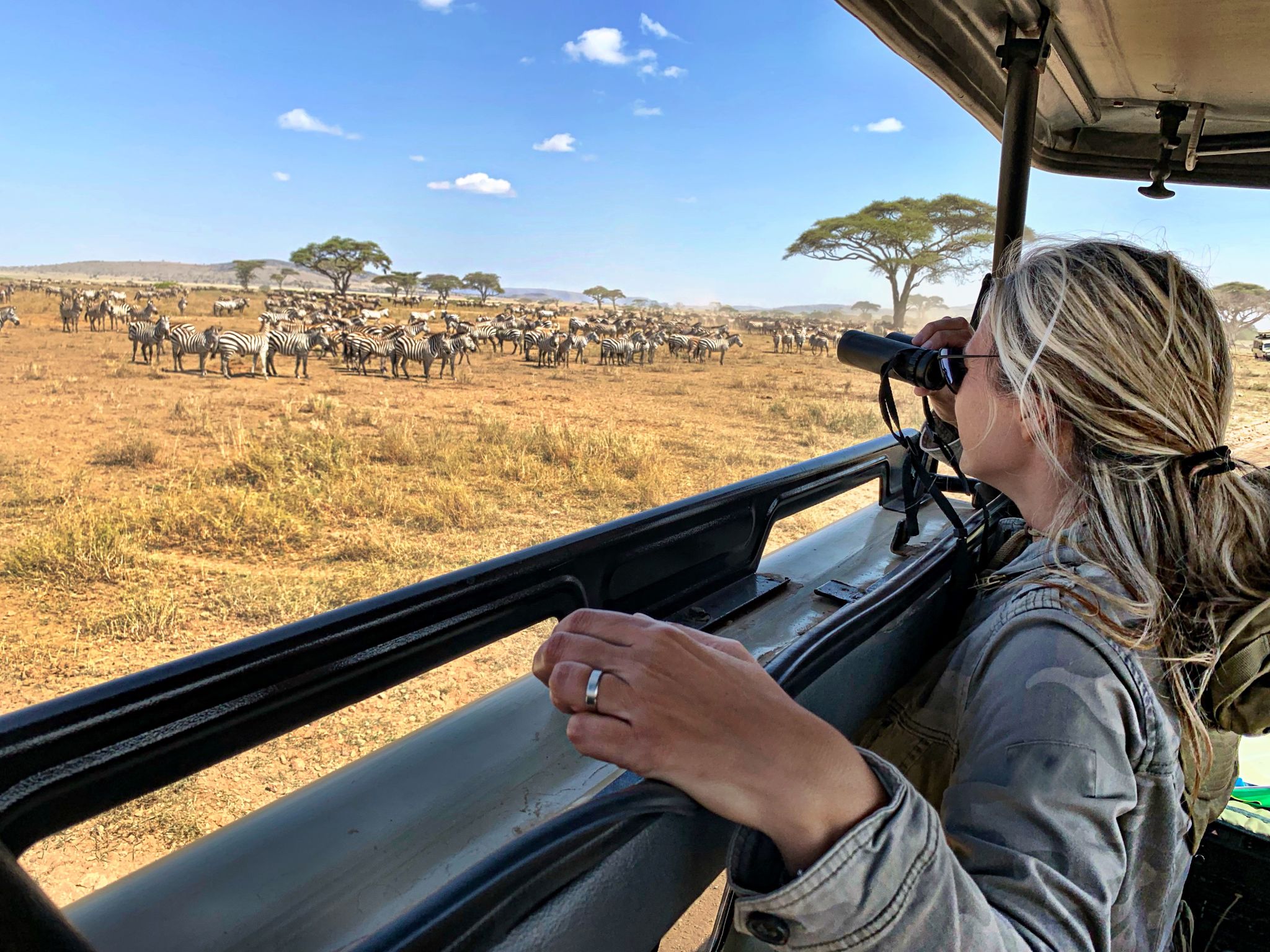 african safari