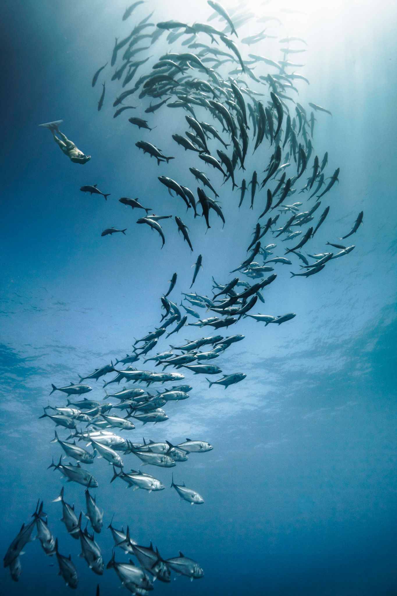 diving school