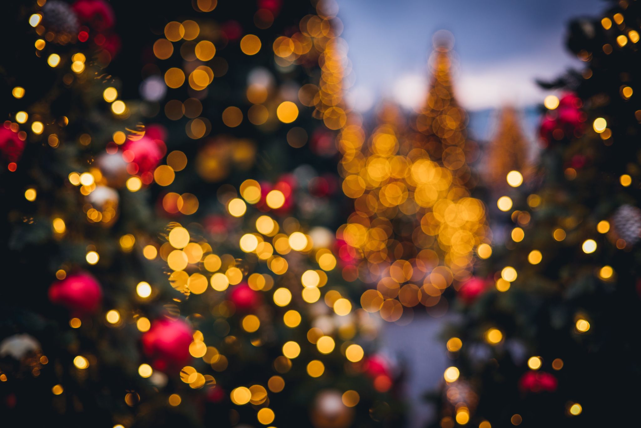 outdoor christmas tree