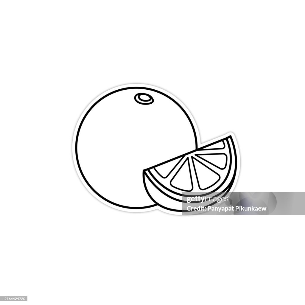Vector illustration of Whole orange with slice showing juicy texture black and white drawing For children to learn to color according to the picture.