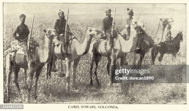 militärgeschichte, kamel sowars, golconda, kavalleriesoldaten reiten auf kamelen, vinatge-fotografie aus dem 19. jahrhundert - kavallerie stock-grafiken, -clipart, -cartoons und -symbole