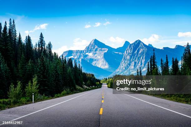 driving with a car on a mountain road in alberta in canada - mountain road stock pictures, royalty-free photos & images