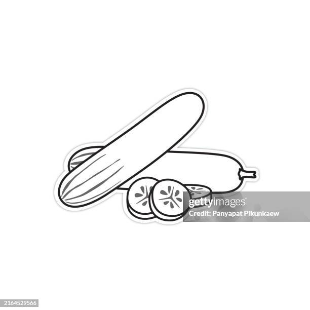 vector illustration of fresh green cucumbers lying on white background black and white drawing for children to learn to color according to the picture. - cucumber slices white background stock illustrations