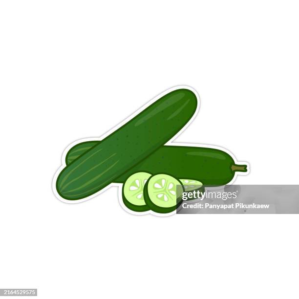 illustrazioni stock, clip art, cartoni animati e icone di tendenza di illustrazione vettoriale di cetrioli verdi freschi sdraiati su sfondo bianco - cetriolo