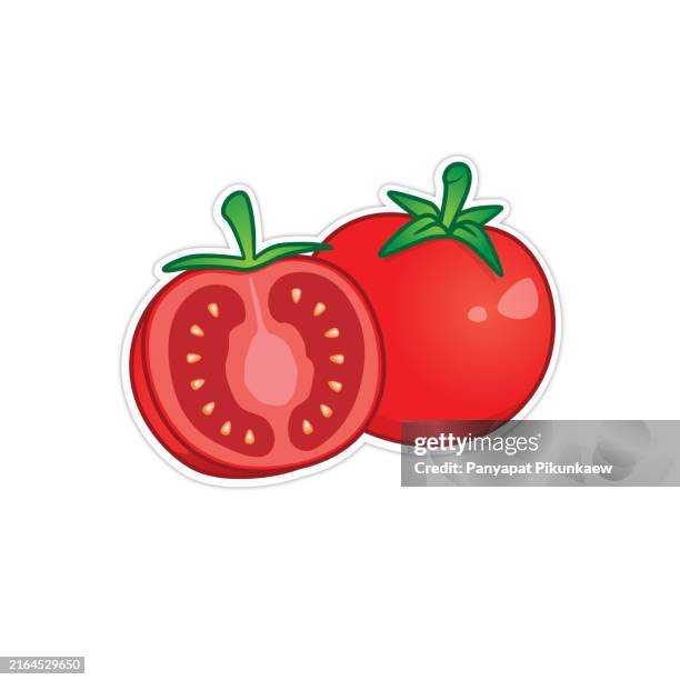 vector illustration of red tomato showing cross section beside whole tomato - tomato stock illustrations