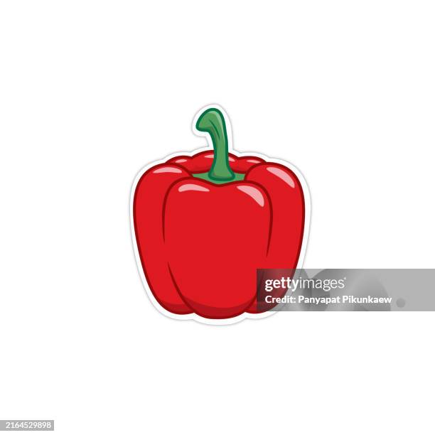 vector illustration of red bell pepper standing up on white background - red bell pepper white background stock illustrations