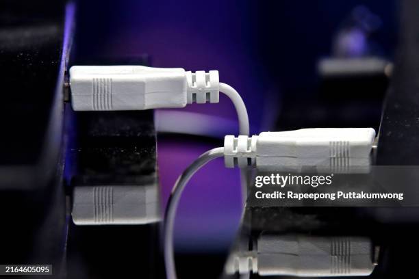 Computer With Cable Plugged In 4,673 Network Cable Close Up Stock Photos, High-Res Pictures, and ...