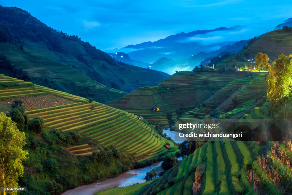 Terraced rice field in Mu Cang Chai, Vietnam