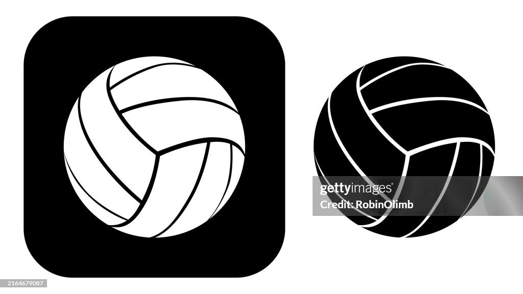 Black And White Tortoise Icon