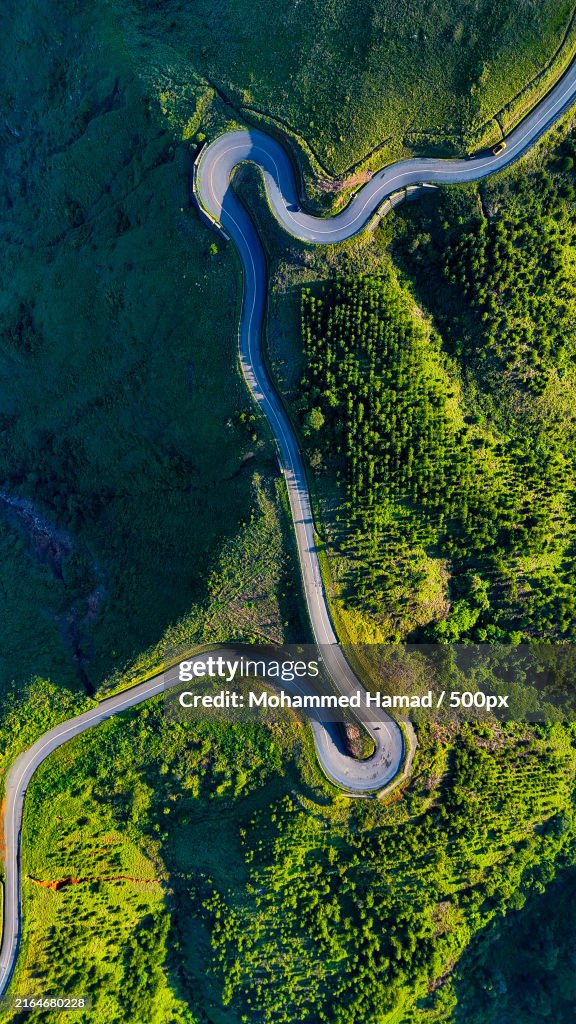 Aerial view of winding road amidst trees in forest,Mbeya,Mbeya Urban,Tanzania