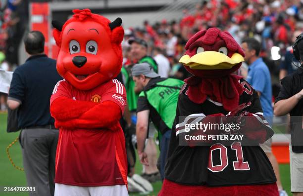 Unity Reed Mascot 1,567 Manchester United Mascot Stock Photos, High-Res Pictures, and ...