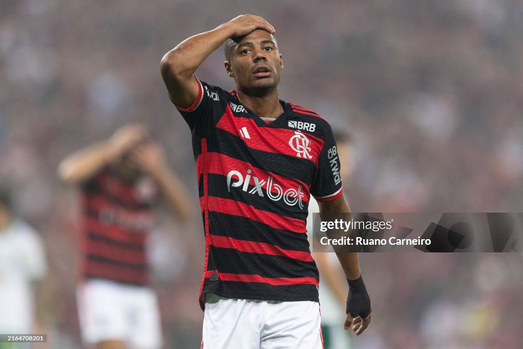 Flamengo v Palmeiras - Copa do Brasil 2024