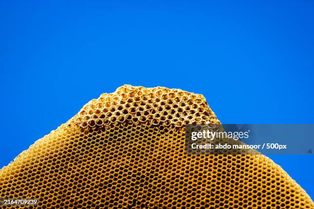 low angle view of honeycomb against clear blue sky - bee pattern stock pictures, royalty-free photos & images