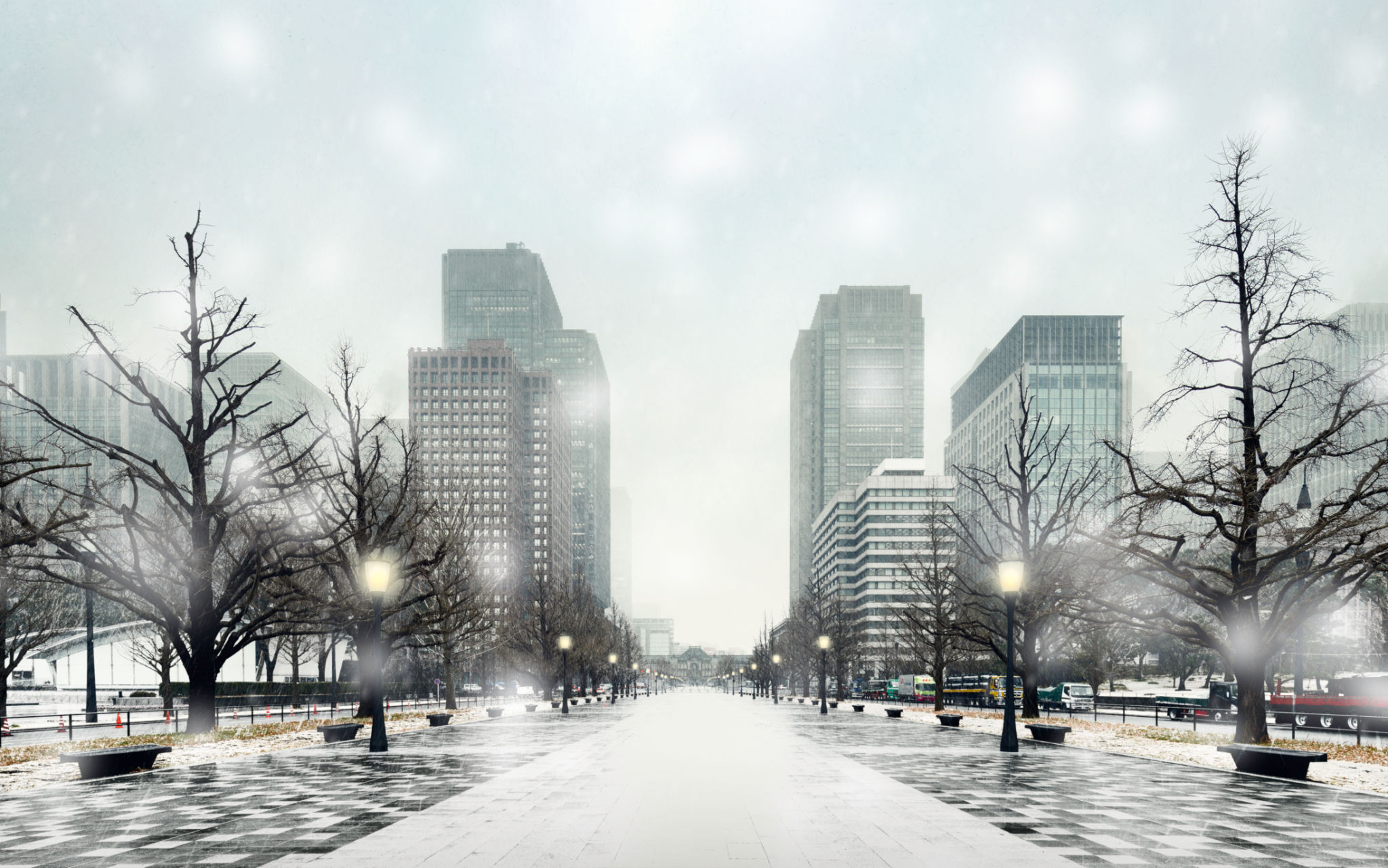 tokyo winter