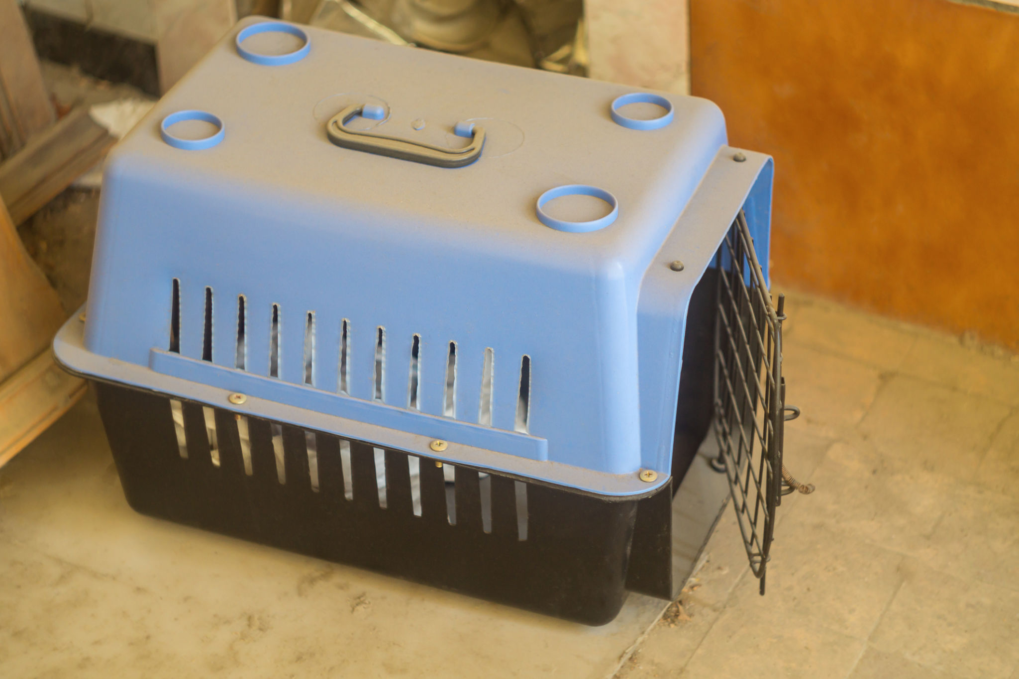 pet acclimation crate