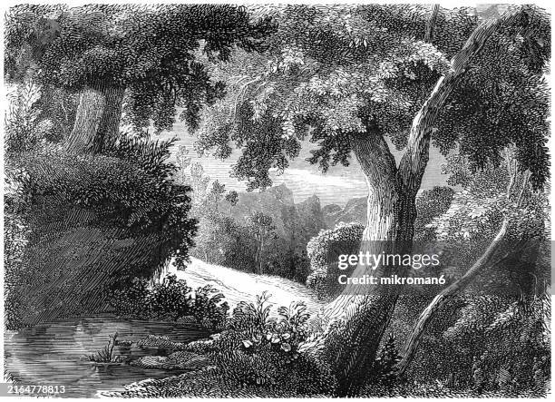 old engraved illustration of entrance to the grande chartreuse, the head monastery of the carthusian religious order, located in the chartreuse mountains, north of the city of grenoble, france - ancient history stock pictures, royalty-free photos & images