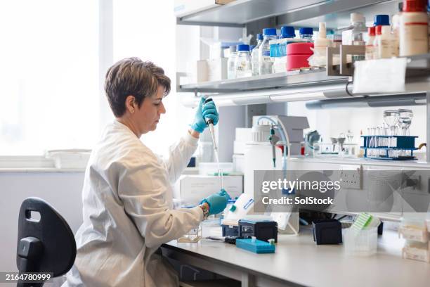 researching gut bacteria - microbiologist stock pictures, royalty-free photos & images