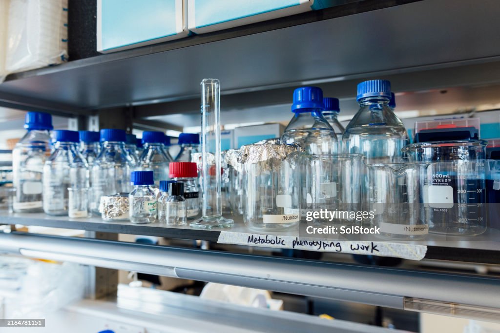 Beakers for Metabolic Phenotype Work