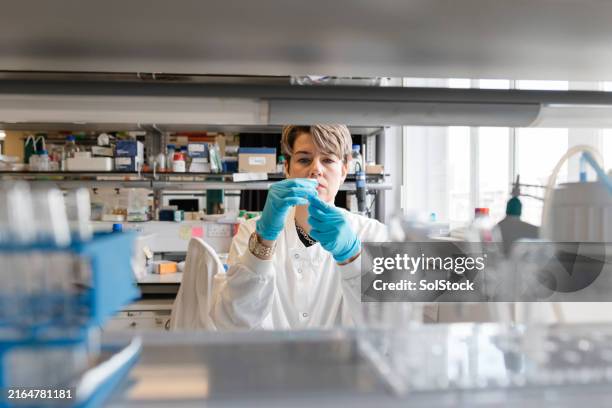 microbiologist analysis and testing - equipamento de laboratório imagens e fotografias de stock