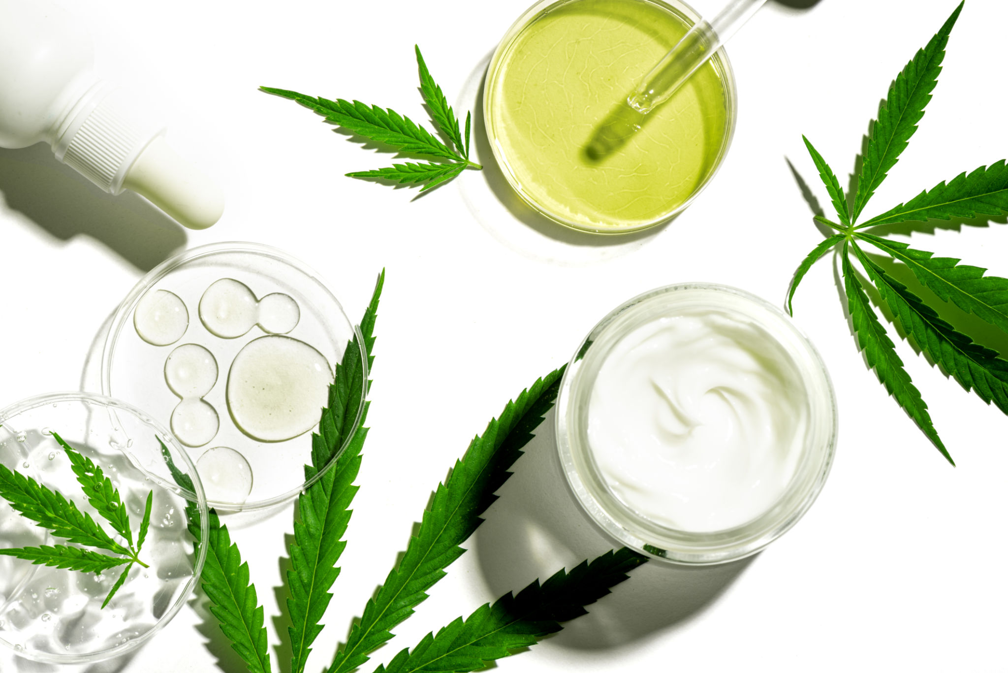 cannabis branding