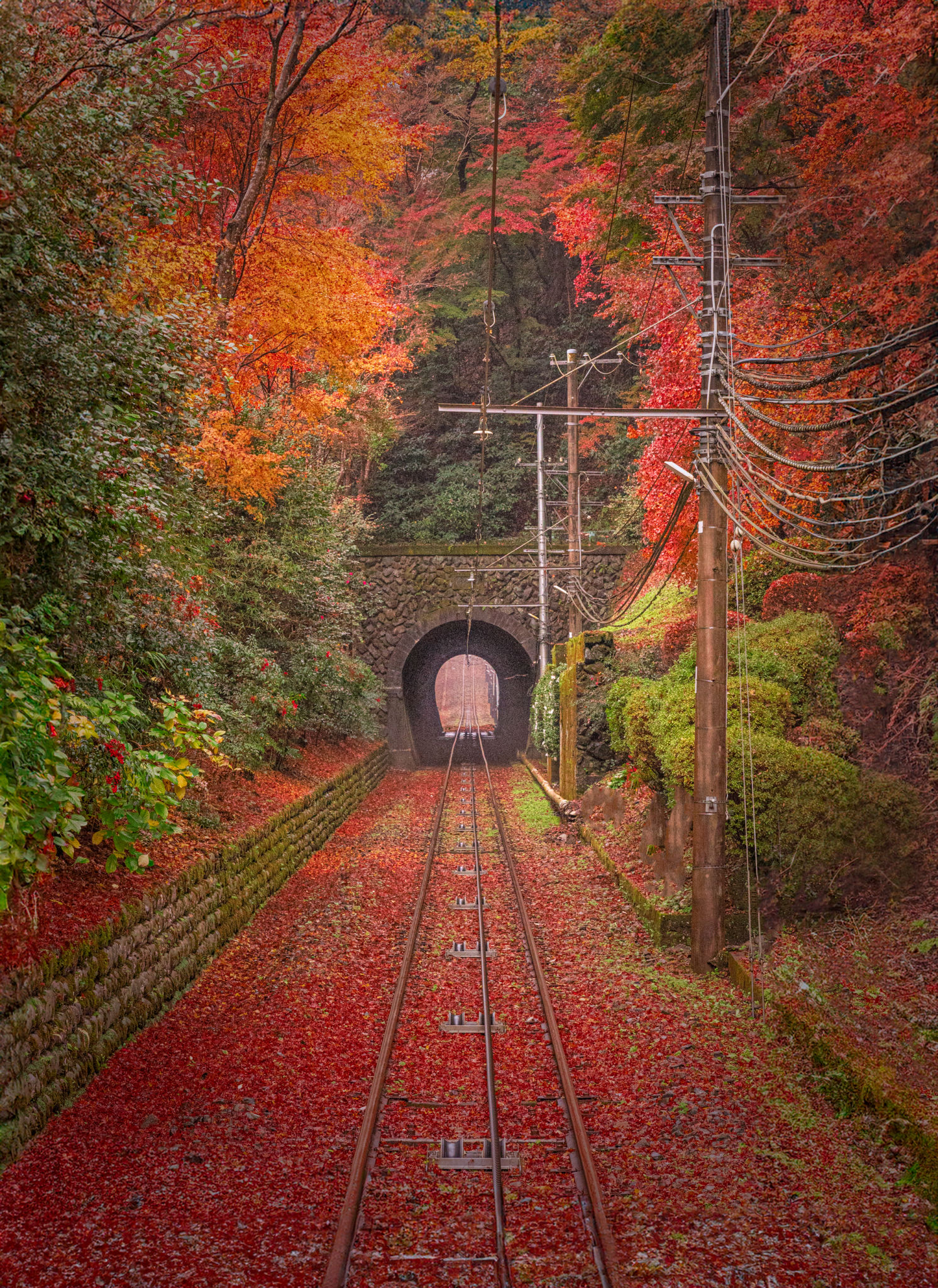 mount takao
