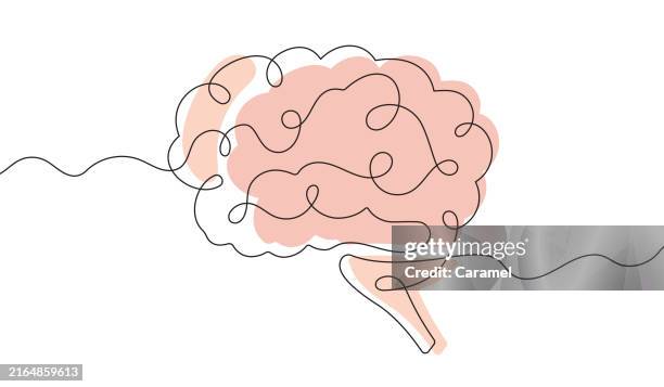 human brain continuous line icon - inneres organ stock-grafiken, -clipart, -cartoons und -symbole