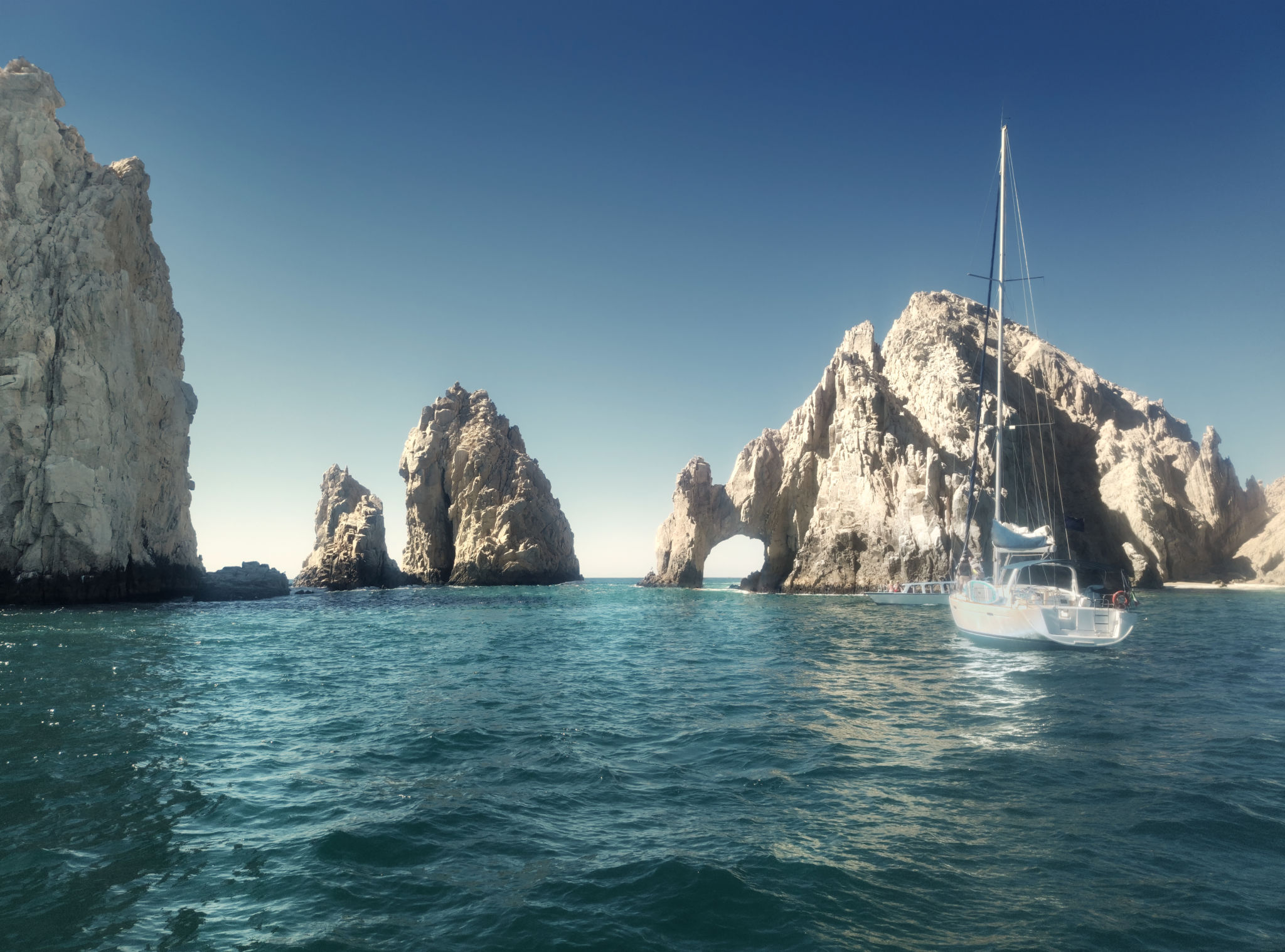 marine life Cabo