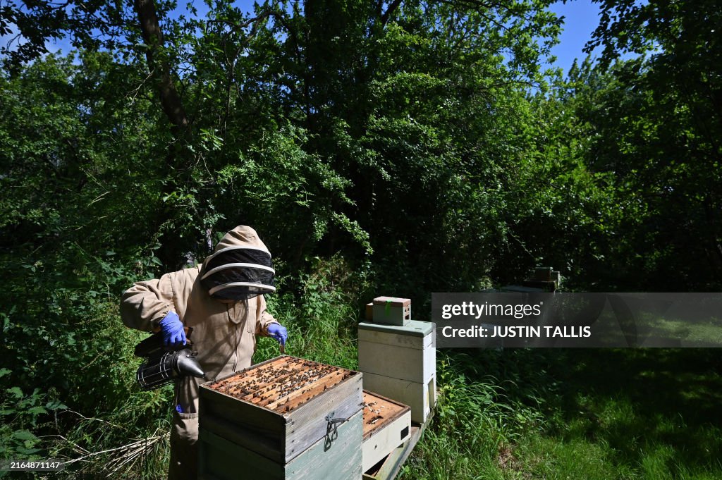 BRITAIN-FOOD-FRAUD