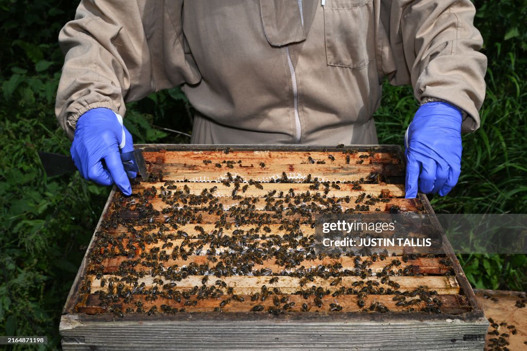 BRITAIN-FOOD-FRAUD