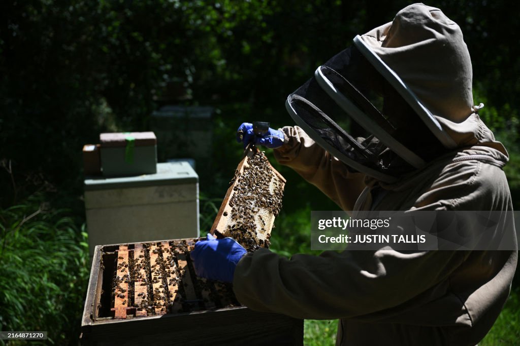 BRITAIN-FOOD-FRAUD