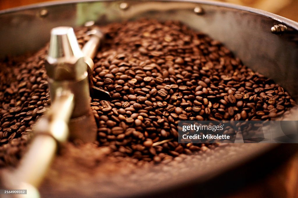 Grains de café, machine et usine avec ingrédient pour la torréfaction, le produit, l’exportation ou l’assurance qualité. Vide, vue de dessus et fabrication avec équipement pour espresso, caféine ou mélange frais de qualité supérieure