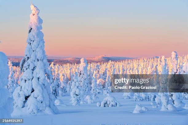 ice sculptures at sunrise, lapland - finland snow stock pictures, royalty-free photos & images